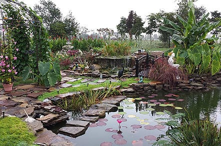 Pat and Alan Ware's Pond
